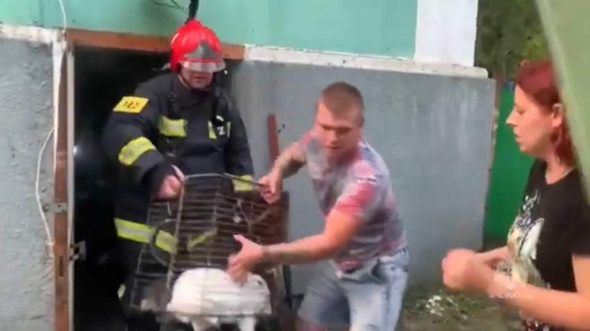 Пожарные спасли животных и потушили пожар в зоопарке Ростова