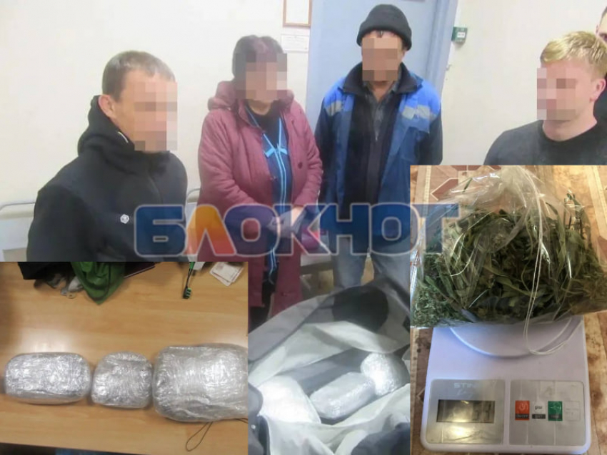 Мужчина пытался вывезти через границу полкило марихуаны, но получил срок за выращивание запрещенки