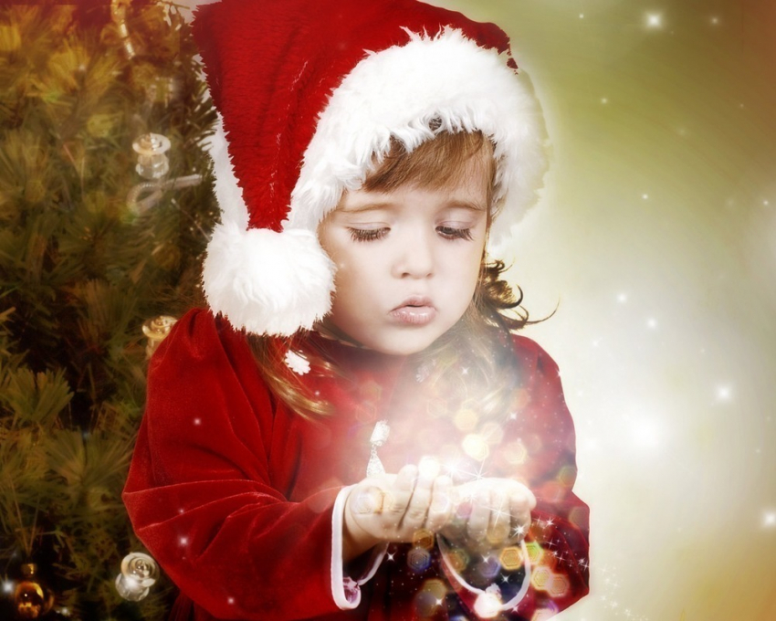 ГО и ЧС: Елку необходимо выкинуть сразу после того, как она начнет осыпаться