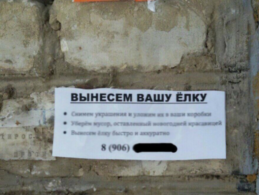 Особенно ленивым ростовчанам предлагают услугу елки на вынос