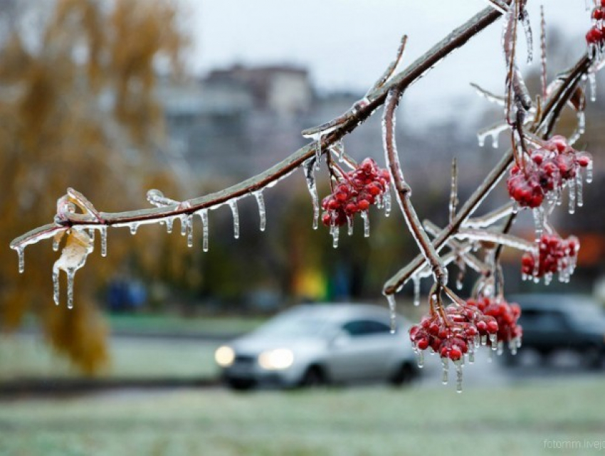 Лютые заморозки заставят ежиться от холода жителей Ростовской области 