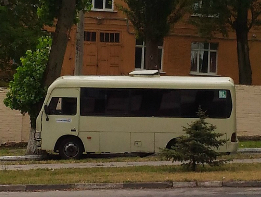"Кара небесная» в образе дерева настигла невнимательного маршрутчика в Ростове