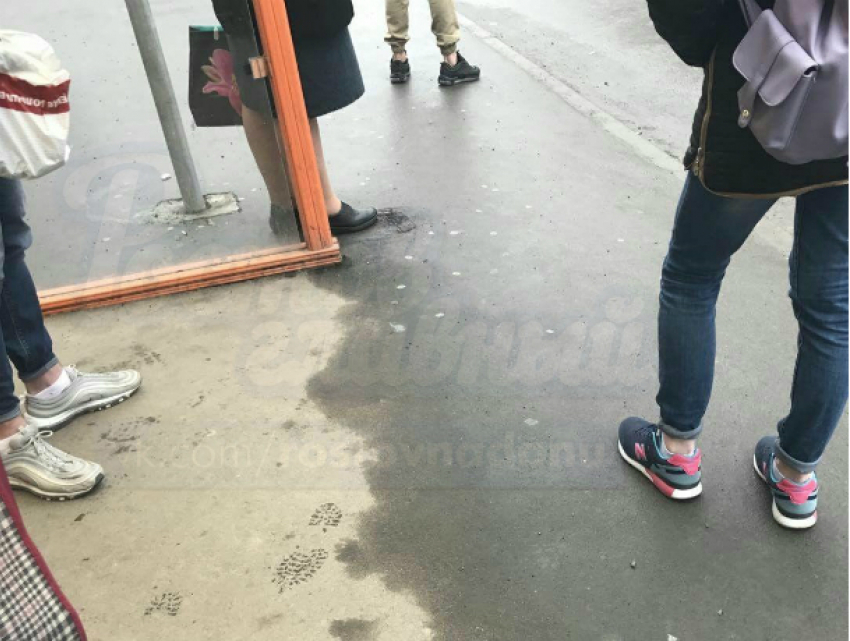 Молодые «высокие модники» на остановке вызвали горячие эмоции жителей Ростова
