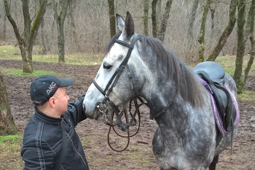 Ростовские власти отменят налоговые льготы для закрывающегося ипподрома