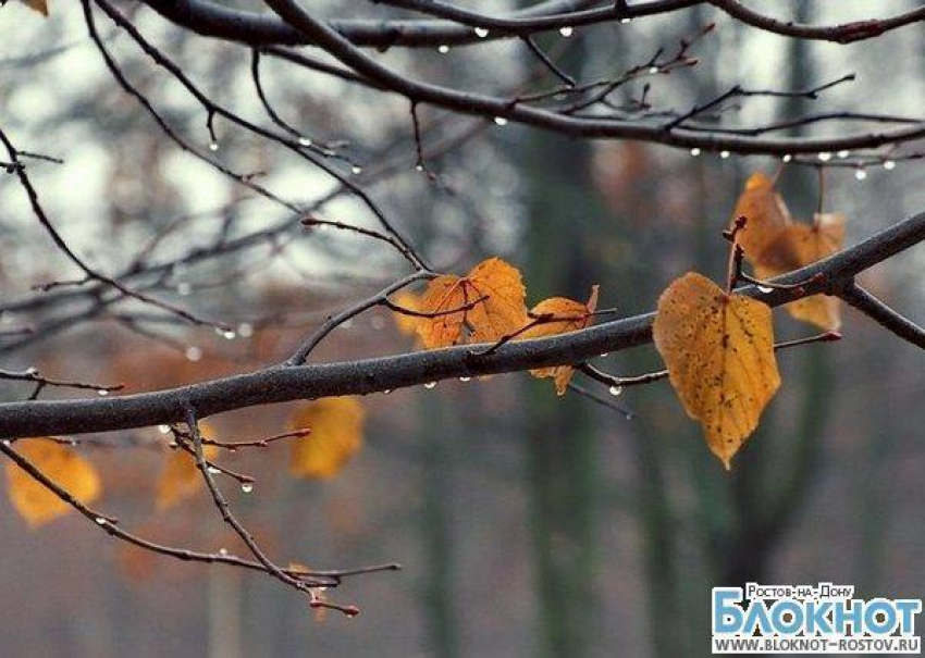 Последняя неделя осени в Ростове будет дождливой, столбик термометра опустится до минусовых температур 