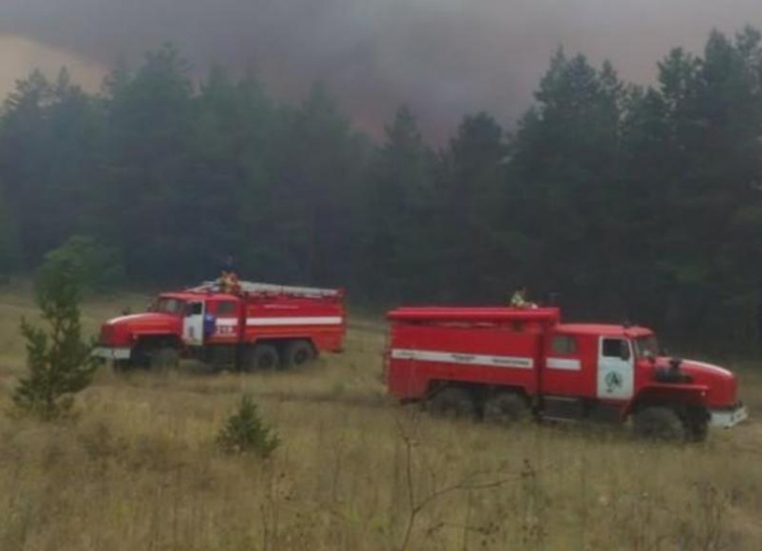 На севере Ростовской области сгорело около 42 гектаров леса