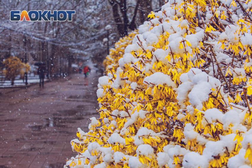 В Ростове-на-Дону будет дождливо и пасмурно 