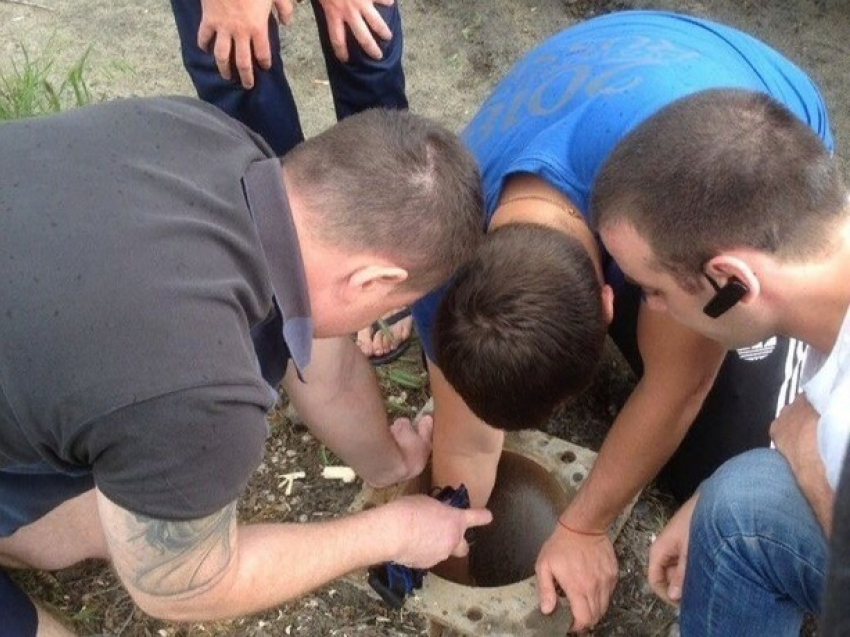 Уникальную операцию по спасению несчастной ондатры из колодца провели в Ростовской области