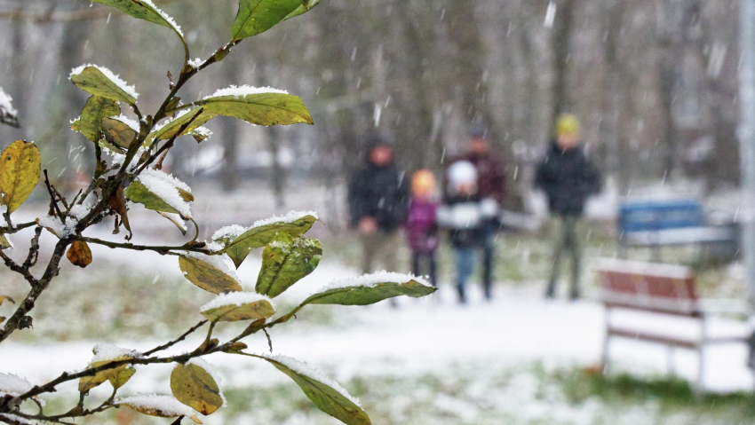 Мокрый снег ожидается в Ростове уже на этой неделе