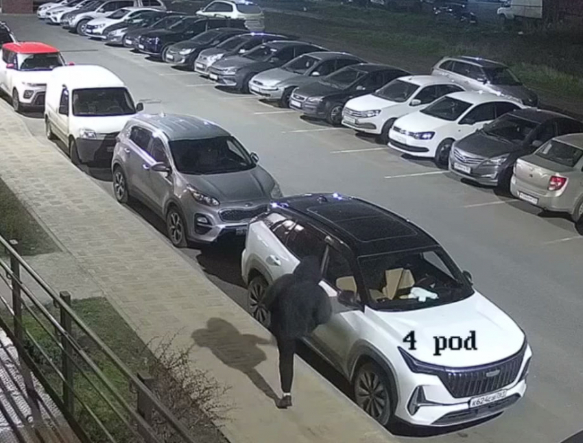 Леди в капюшоне устроила показательную казнь боковым зеркалам машин в Суворовском