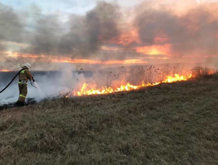 Донские спасатели предупредили о высоком риске возникновения пожаров