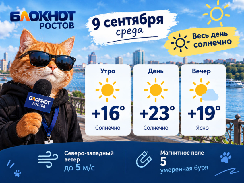 В Ростове похолодало: синоптики рассказали о погоде на 9 сентября
