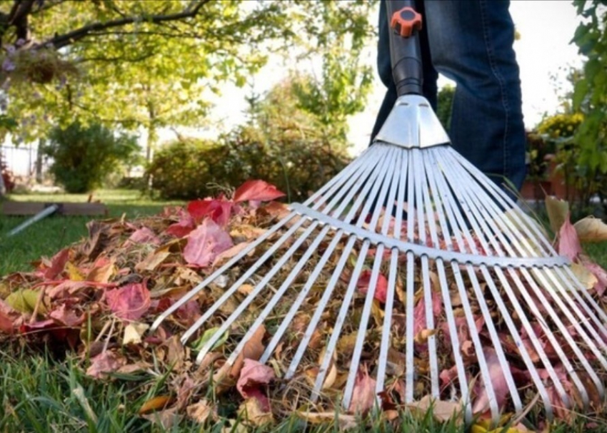 Завтра в Ростове пройдут субботники во всех районах города