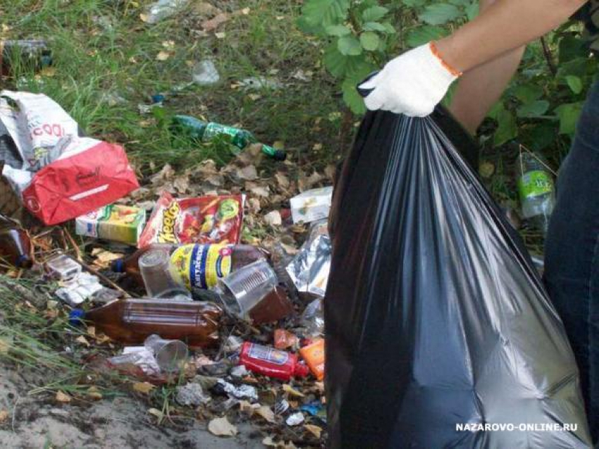 В Ростове на берегу Мертвого Донца проведут субботник