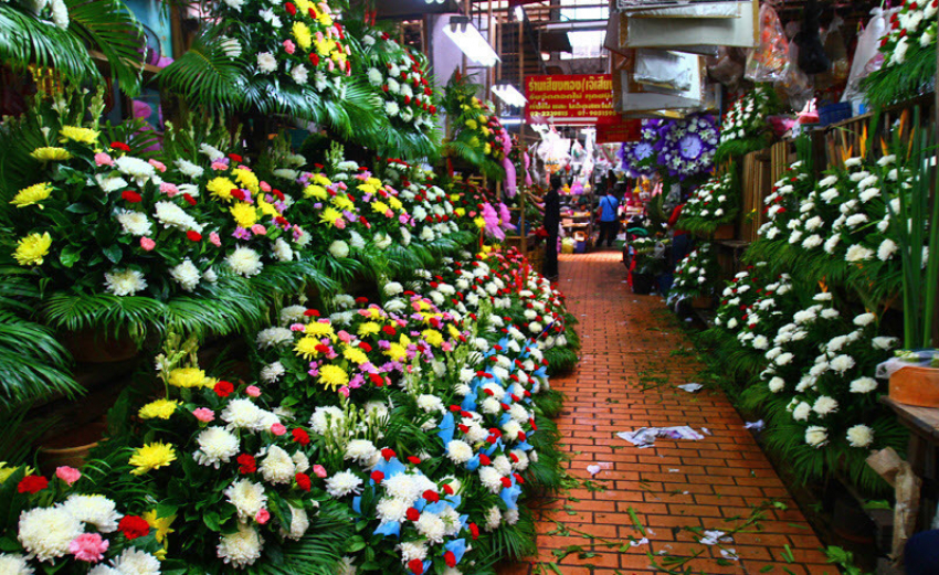 «Опасные» цветы продавали на цветочном рынке в Ростове