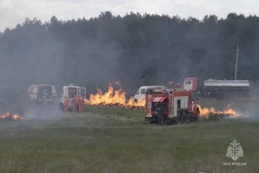 В лесах Ростовской области за год стало почти на треть больше пожаров