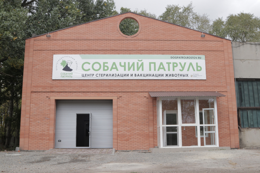 В Ростове открылся благотворительный центр стерилизации собак