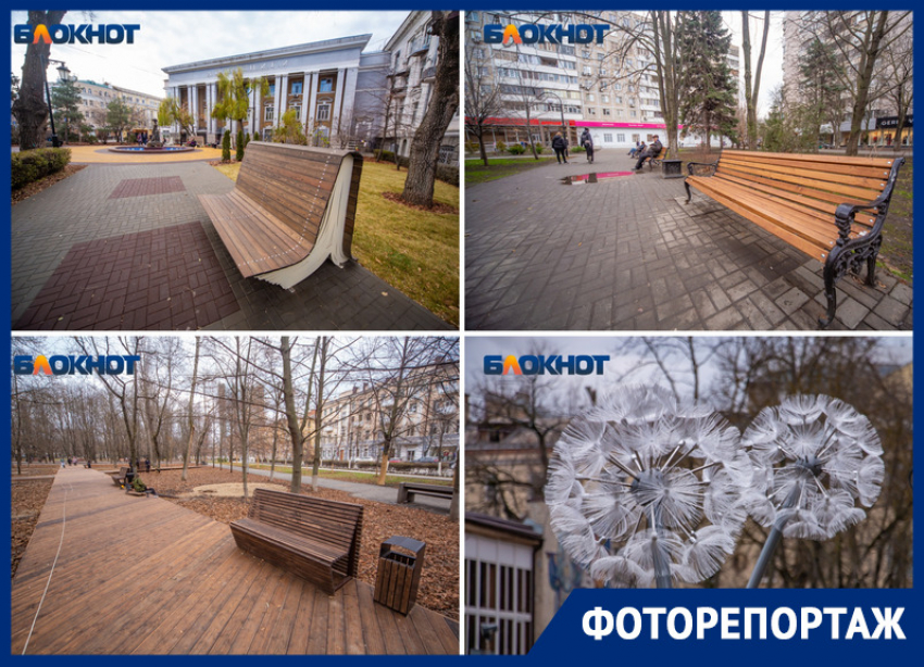 Гигантские одуванчики, эко-дорожки и неудобные лавочки: показываем, как благоустроили центр Ростова за 28 млн рублей 