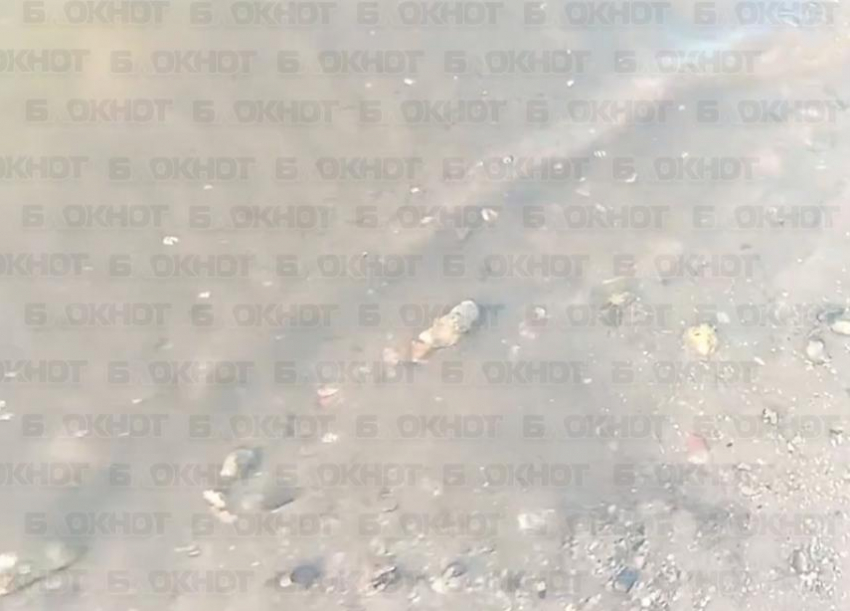 Дончанин пожаловался на фекальный пляж на месте отдыха