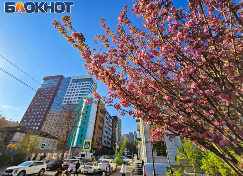 В Ростове 15 апреля потеплеет до +15 при облачной погоде и ветре