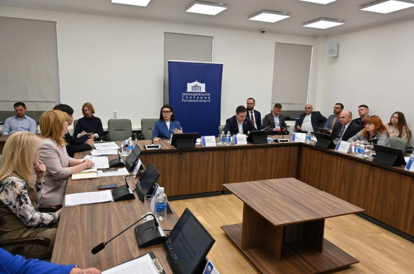 Детский отдых на Дону: в летнюю кампанию вовлекут и частные школы