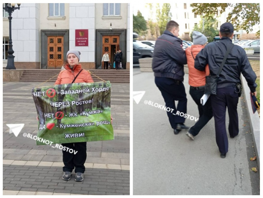 Пикетчицу с плакатом против вырубки Кумженской рощи задержали в Ростове