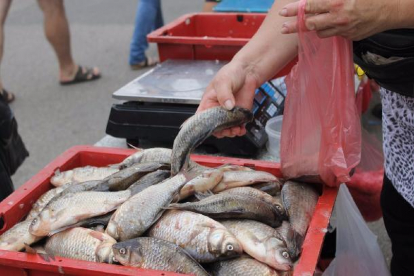 Ростовские чиновники вышли на борьбу с торговцами рыбой