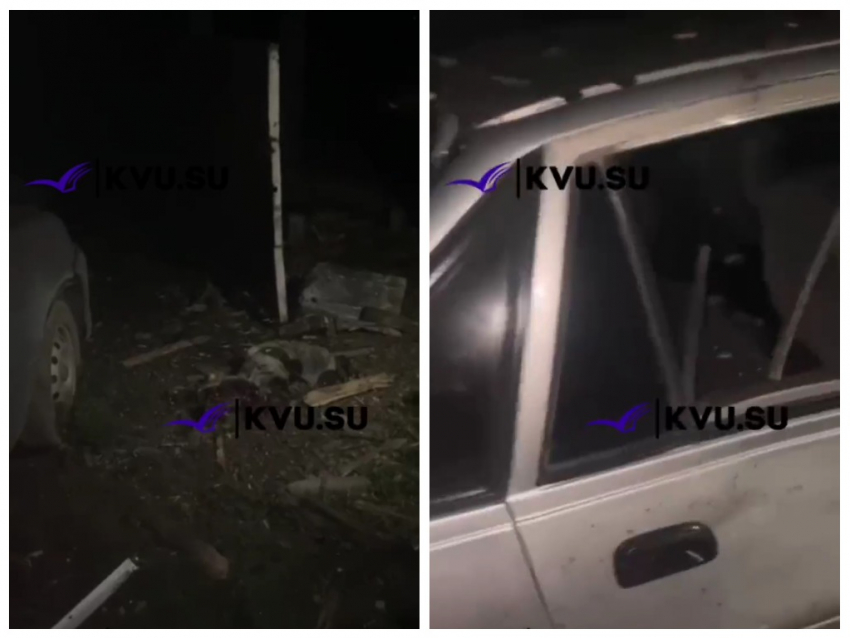 В Красносулинском районе при атаке беспилотника погибла собака