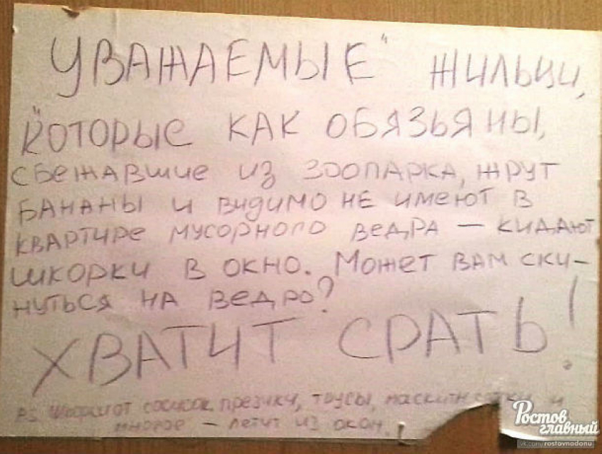 Стая диких обезьян в трусах и с бананом наперевес доводит до слез чистоплотных жителей Ростова