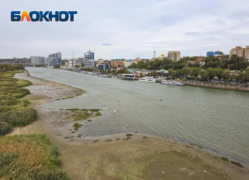 Рейсы речного транспорта отменили из-за обмеления Дона