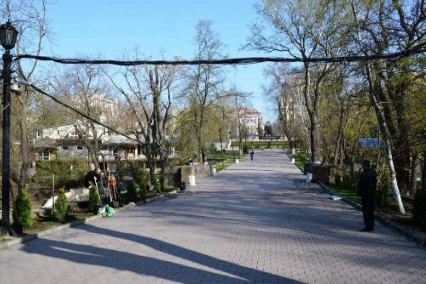 В вопросах озеленения Ростова будут учитывать мнение жителей города и экспертов