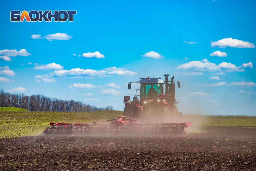 В еще одном районе Ростовской области ввели ЧС из-за засухи