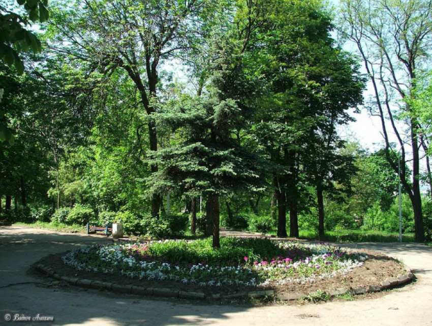 Распрощаться с четвертью гектара земли в парке Собино придется ростовской епархии
