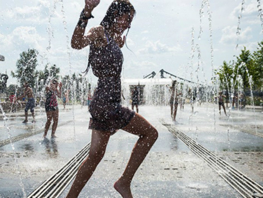 Теплый и ясный воскресный выходной обещают синоптики жителям Ростова