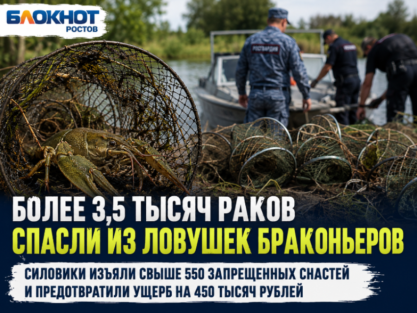 Тысячи раков попались в сети браконьеров: в Ростовской области изъяли более 550 ловушек