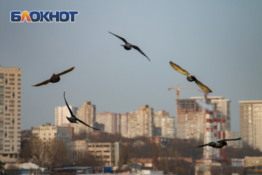 В Ростове ожидается резкое потепление до +20 градусов 