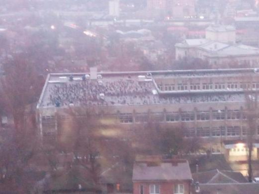 Несколько сотен ворон облюбовали крышу одного из  ростовских  зданий