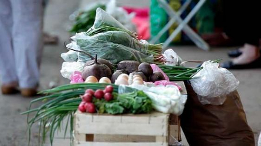 На Дону с началом весны выявлено порядка 450 точек незаконной торговли