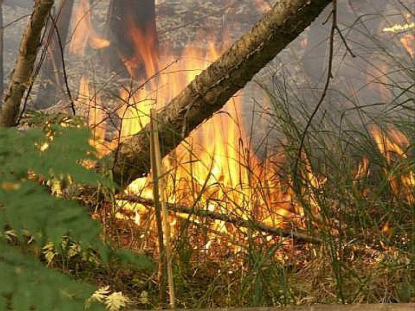 На юго-востоке Ростовской области объявлена чрезвычайная пожароопасность 