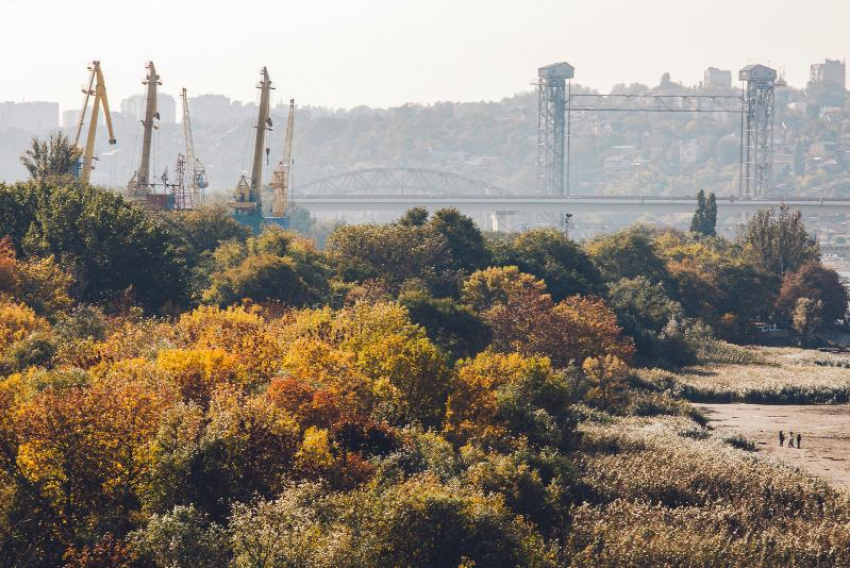 В Ростове на месте рощи у Ворошиловского моста может появиться экопарк