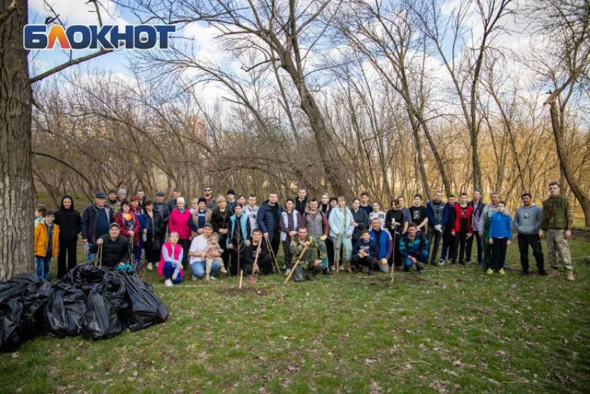 Жители Ростова убрали левобережную рощу и обратились к губернатору за помощью