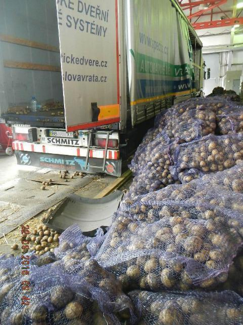 10 тонн картофеля украинец хотел незаконно ввезти в Ростовскую область 