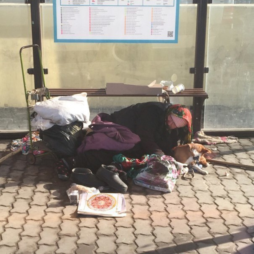 Пенсионерка превратила остановку на Сиверса в спальню под открытым небом