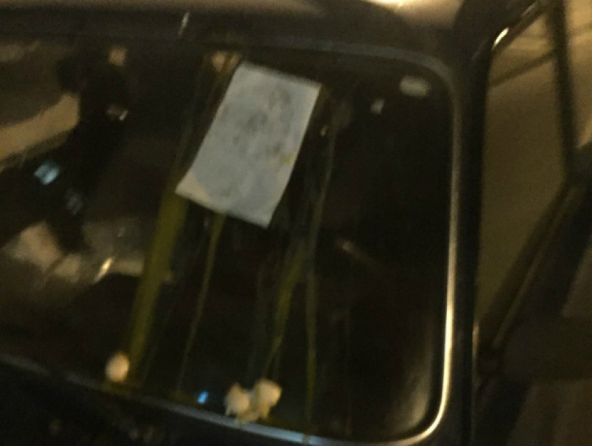 С корзиной тухлых яиц вышла на войну с педофилами бесстрашная пенсионерка под Ростовом