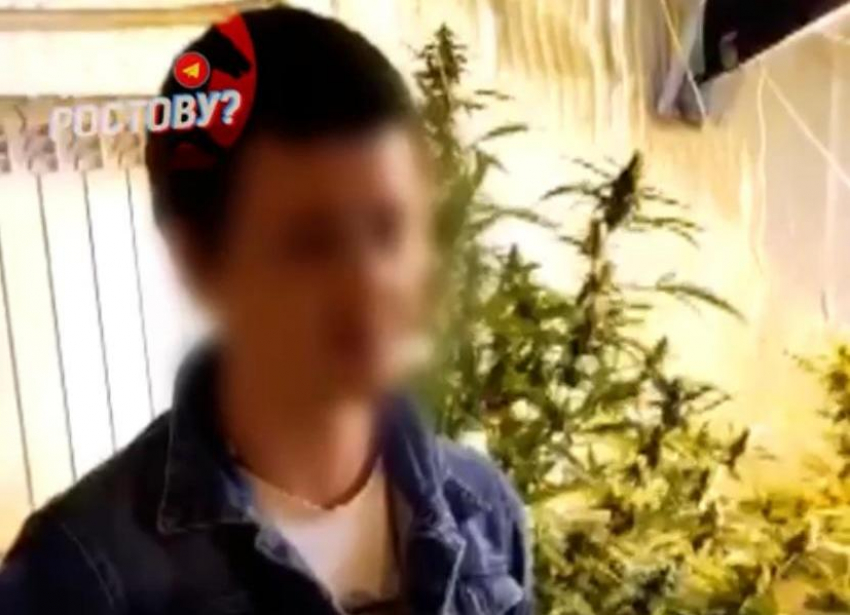 Дома у жителя Ростовской области обнаружили плантацию с марихуаной