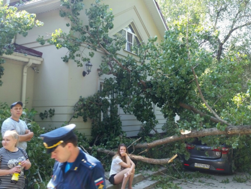 Оторвавшимся от корней огромным старым деревом изуродовало пять автомобилей в Ростове