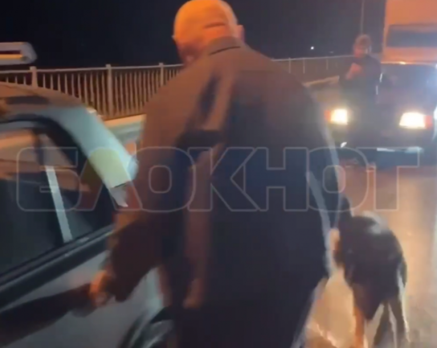 Водитель привязал собаку к бамперу и тянул по дороге в ростовском Донецке