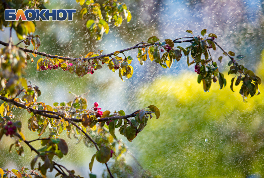 В Ростове Страстная суббота 11 апреля будет облачной и дождливой