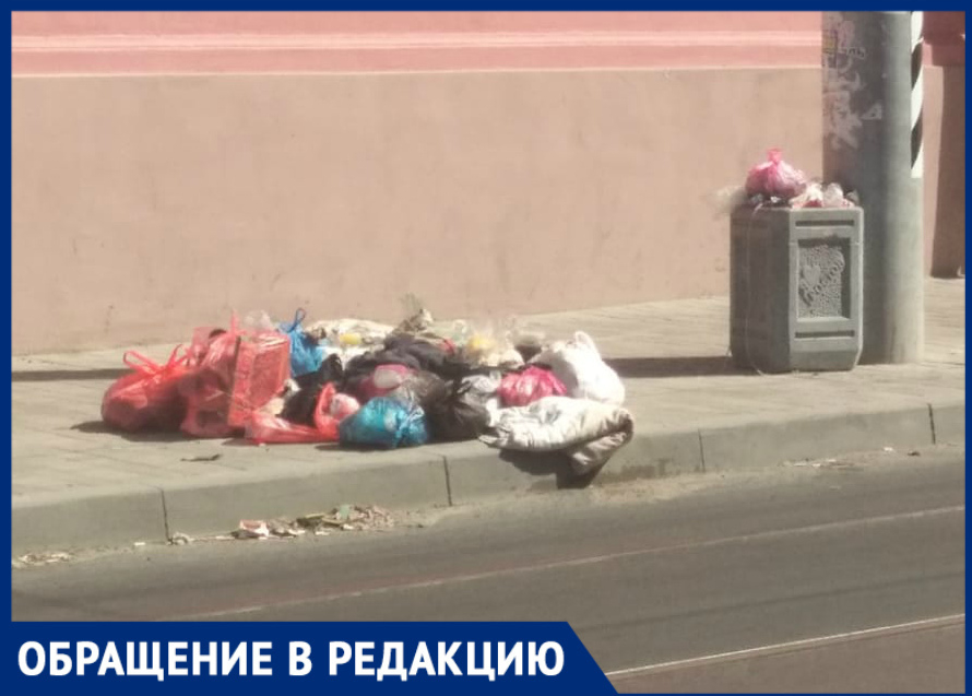 «Не центр города, а свалка! Стыдно»: ростовчанка жалуется на мусор на Станиславского