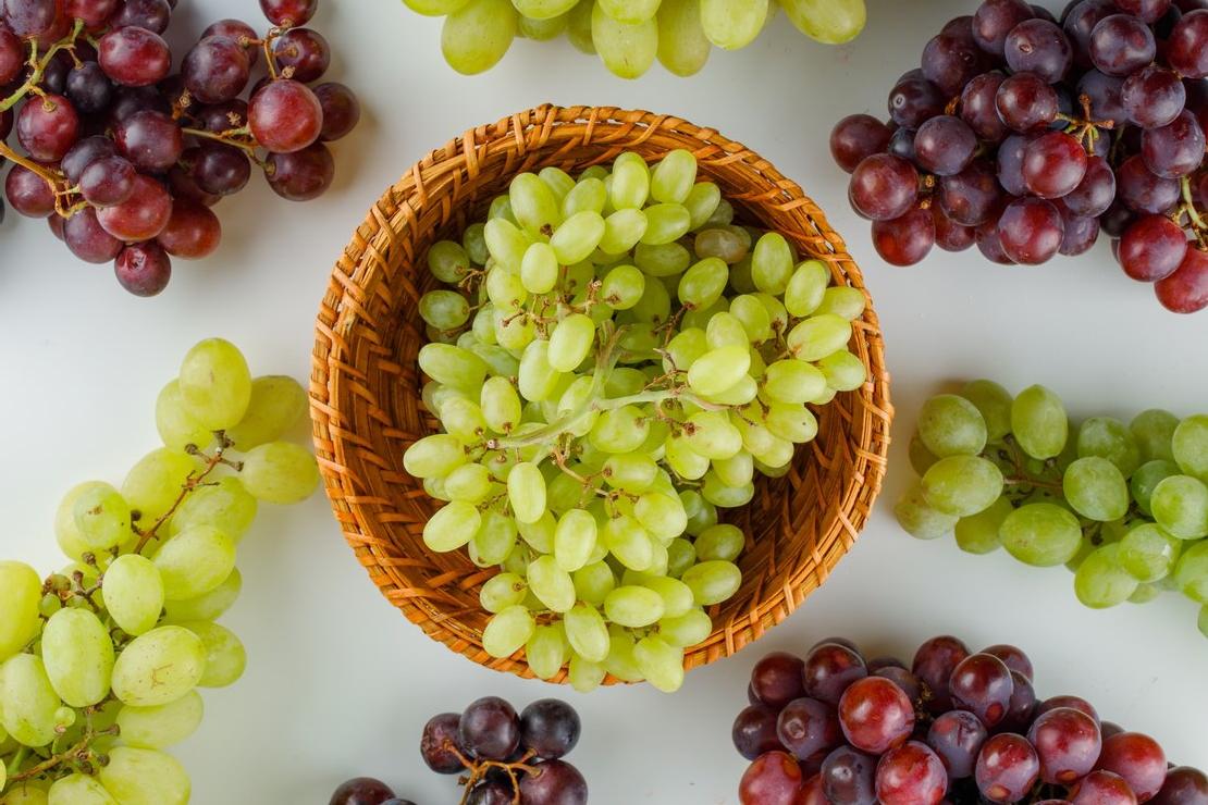 Как вырастить богатый урожай винограда - советы мичуринских специалистов